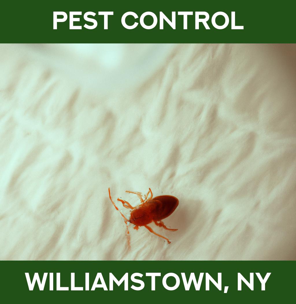 pest control in Williamstown New York
