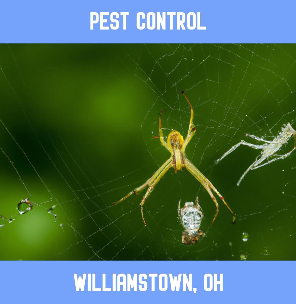 pest control in Williamstown Ohio