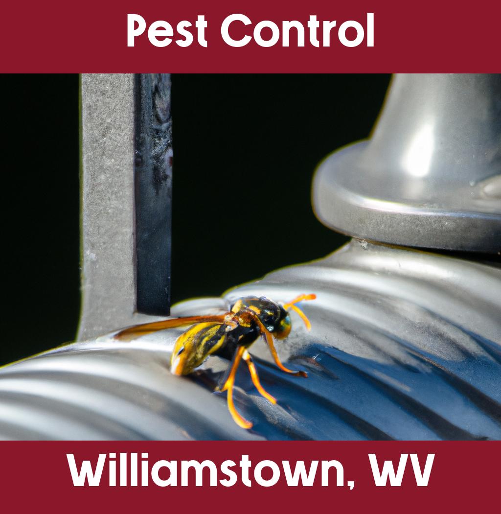 pest control in Williamstown West Virginia