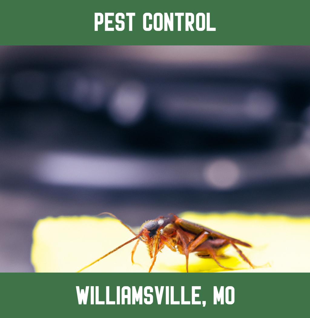 pest control in Williamsville Missouri