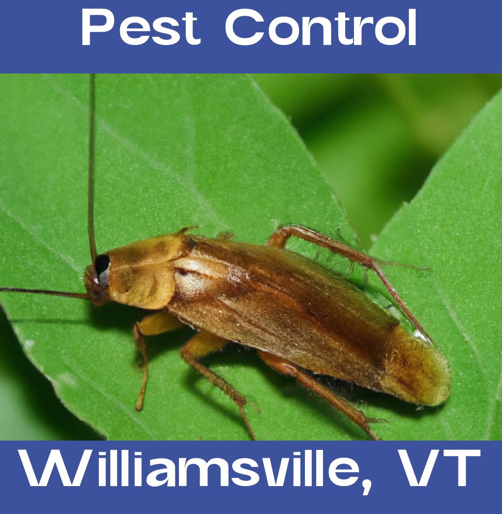 pest control in Williamsville Vermont