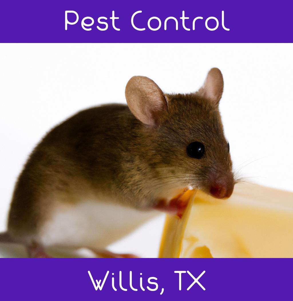 pest control in Willis Texas