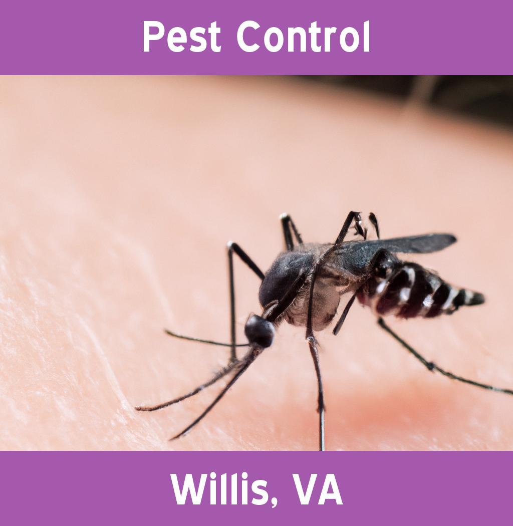 pest control in Willis Virginia