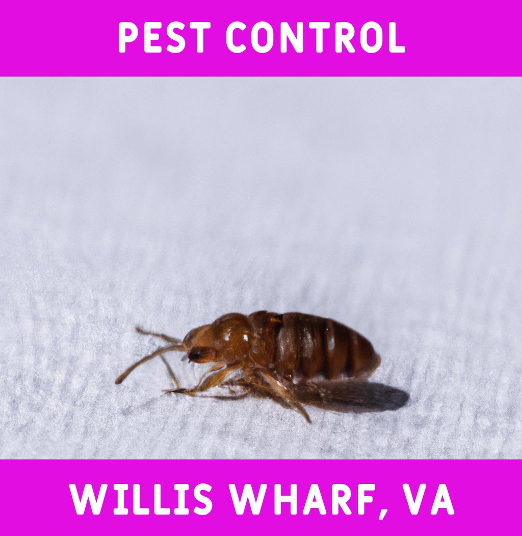 pest control in Willis Wharf Virginia