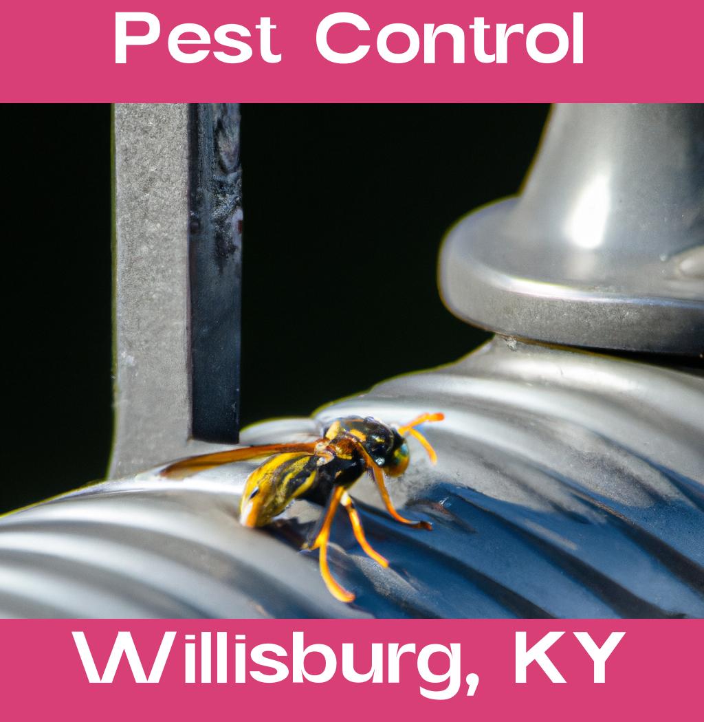 pest control in Willisburg Kentucky