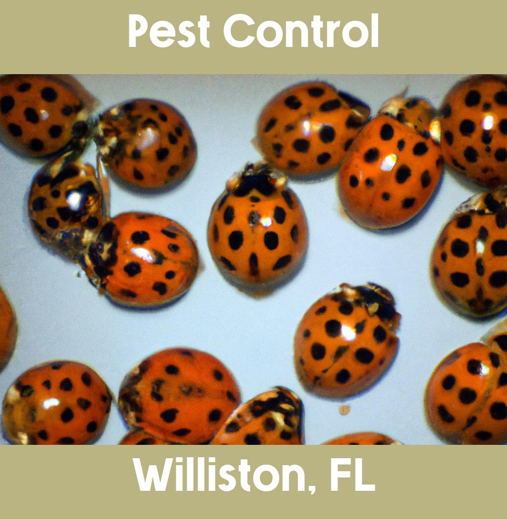 pest control in Williston Florida