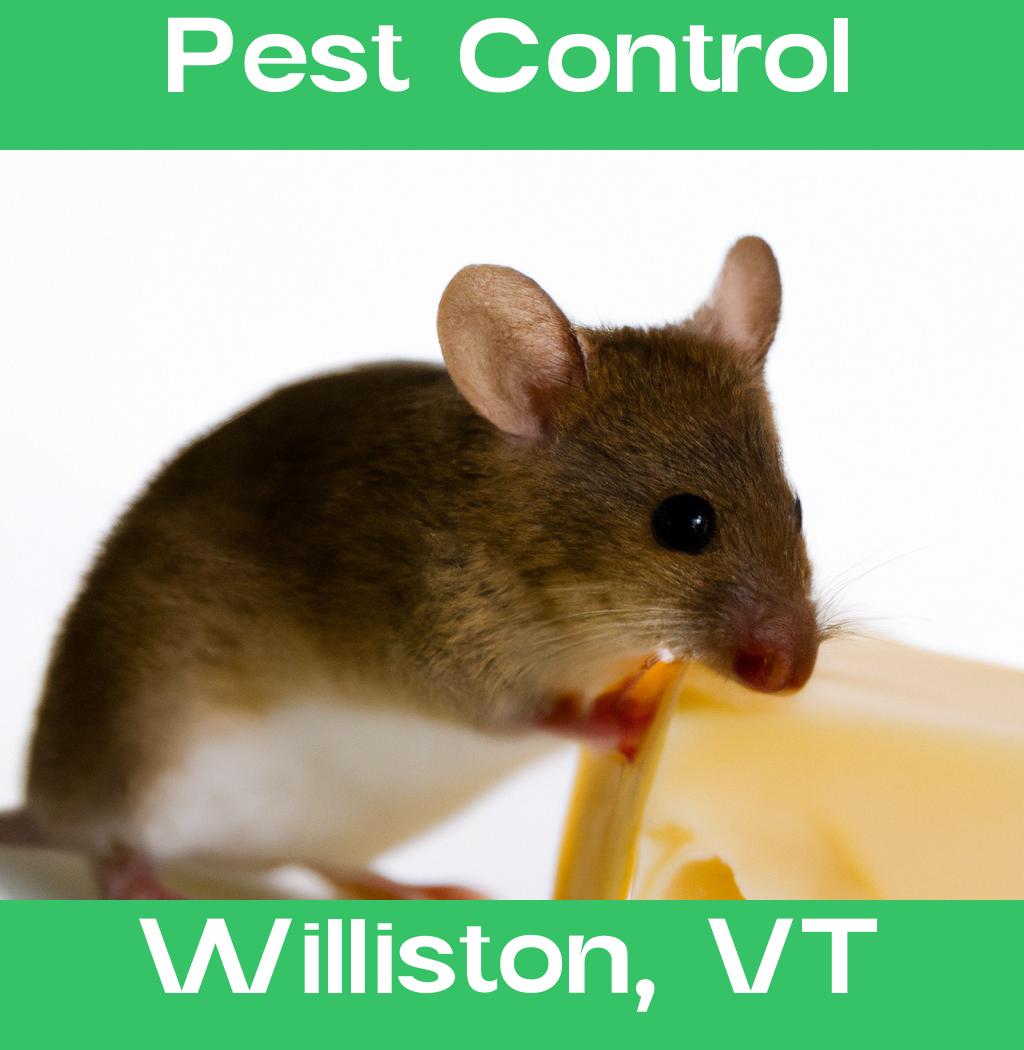 pest control in Williston Vermont