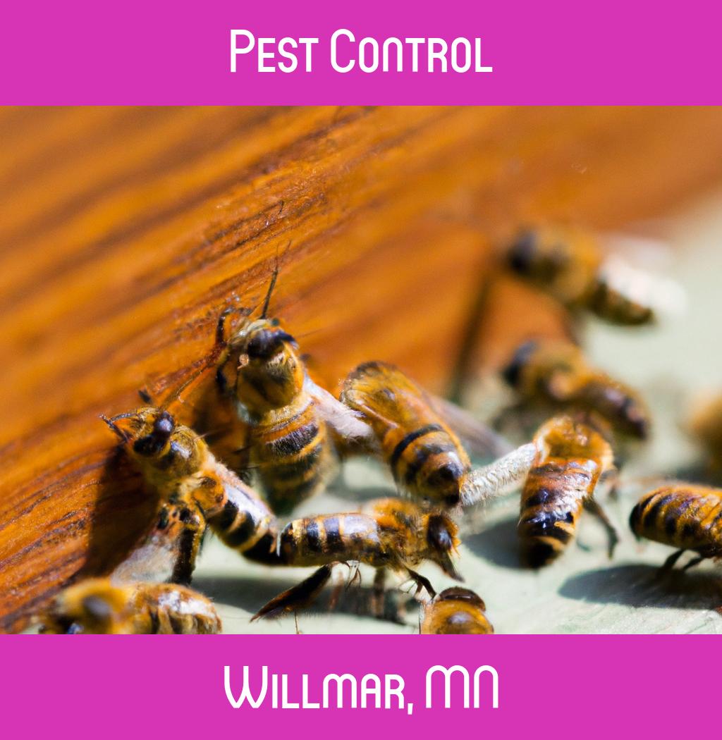 pest control in Willmar Minnesota