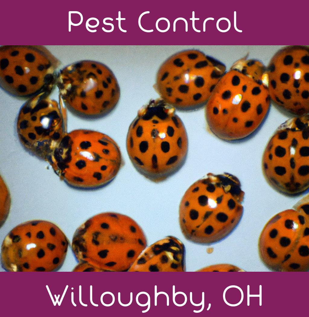 pest control in Willoughby Ohio