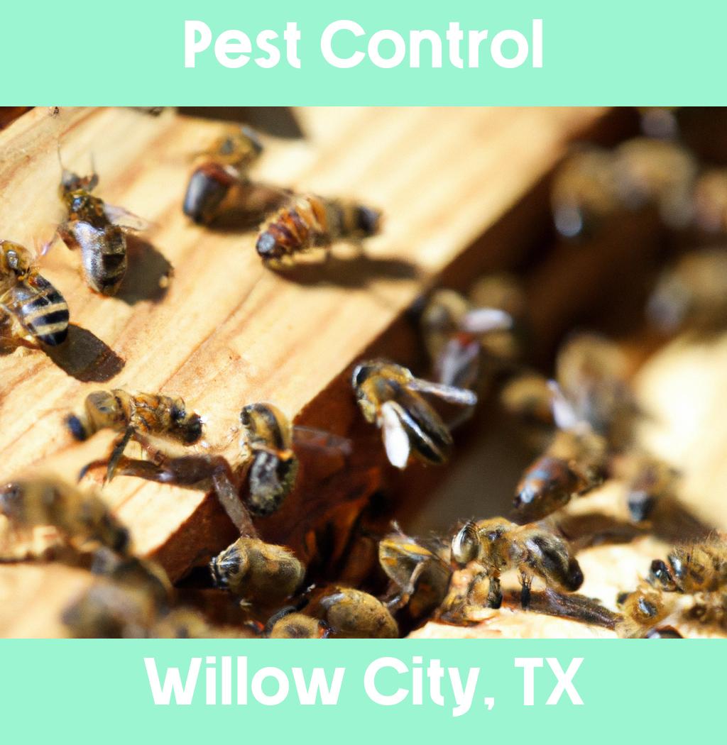 pest control in Willow City Texas