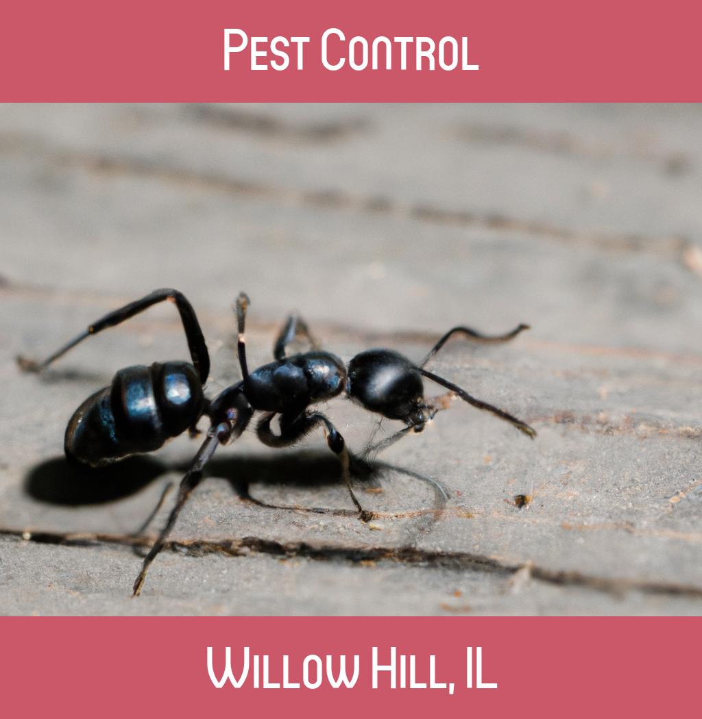 pest control in Willow Hill Illinois