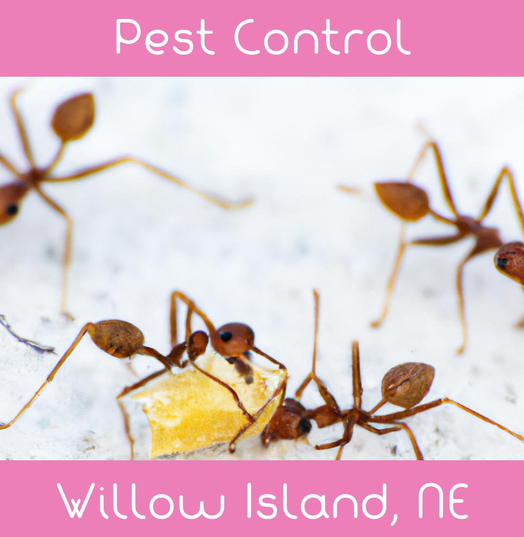 pest control in Willow Island Nebraska