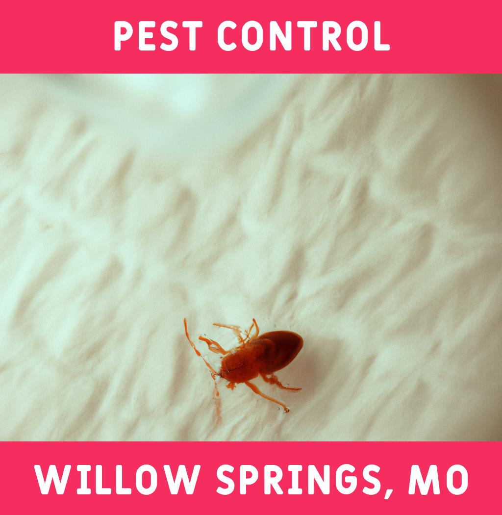 pest control in Willow Springs Missouri