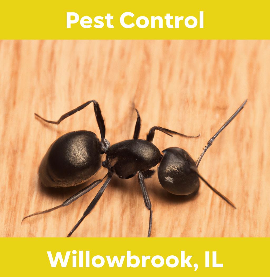 pest control in Willowbrook Illinois