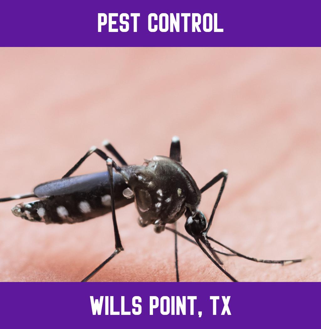 pest control in Wills Point Texas