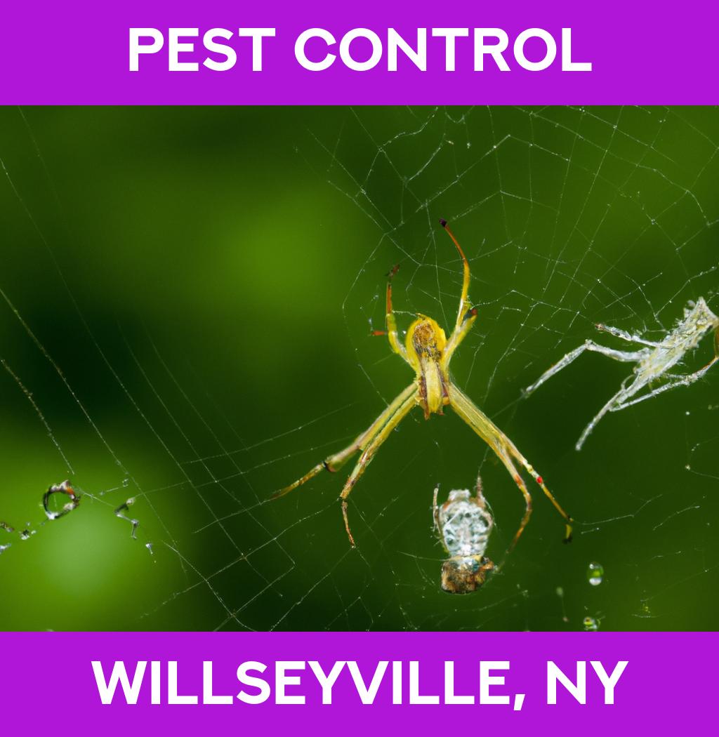 pest control in Willseyville New York
