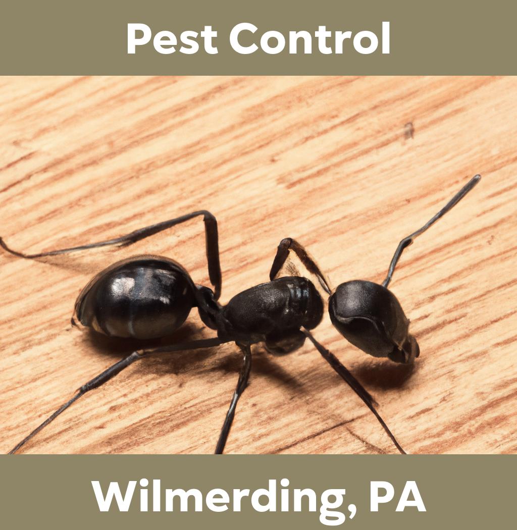 pest control in Wilmerding Pennsylvania