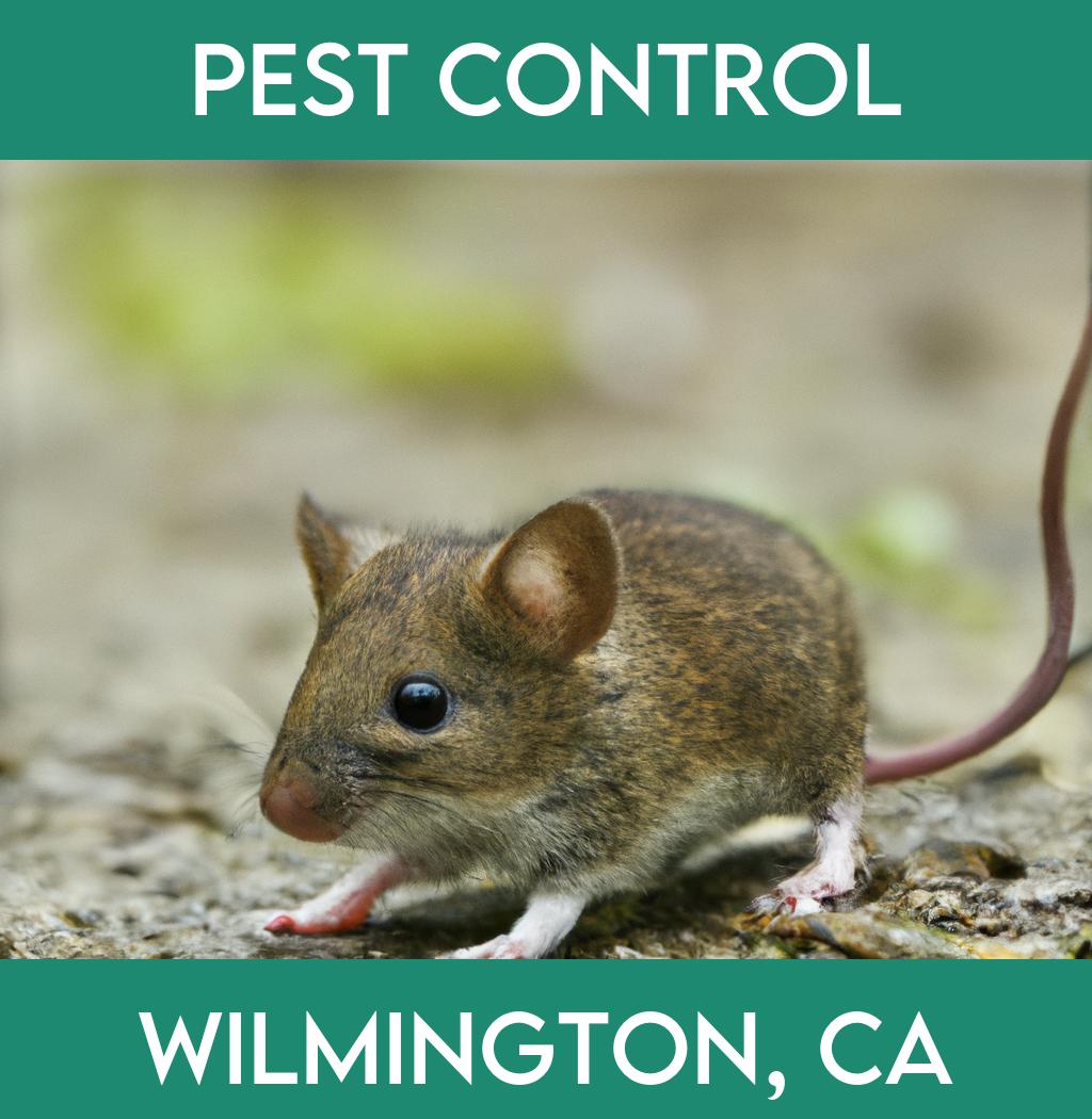 pest control in Wilmington California