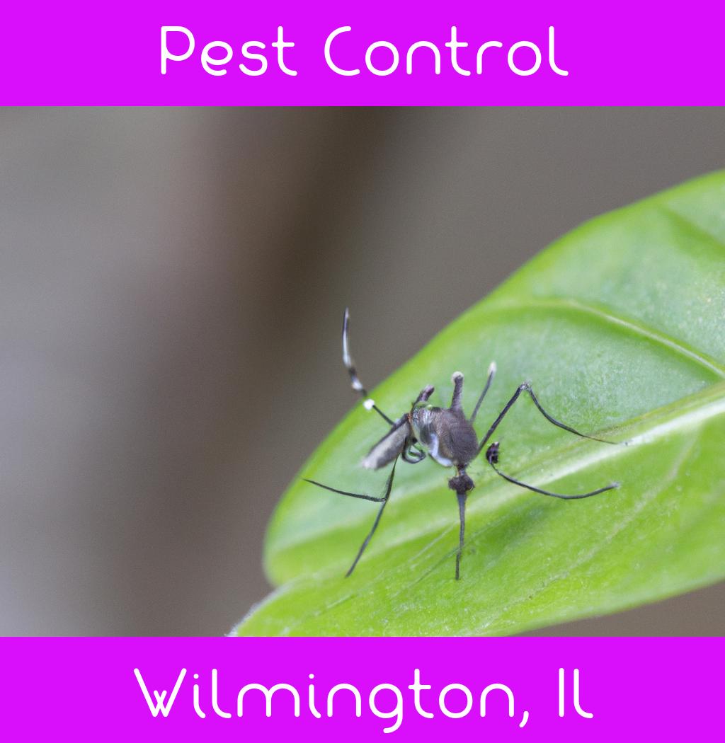 pest control in Wilmington Illinois