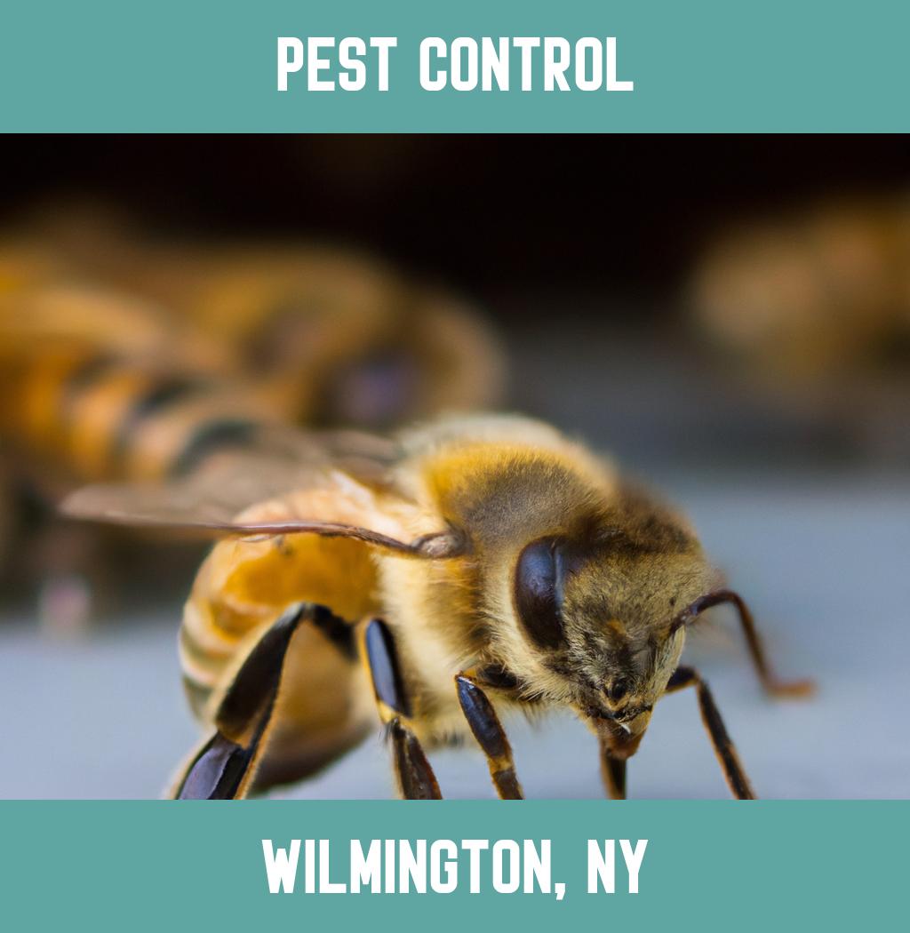 pest control in Wilmington New York