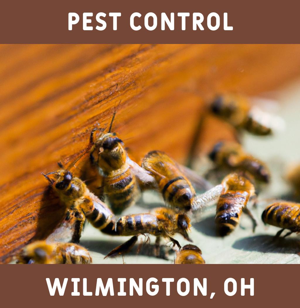 pest control in Wilmington Ohio