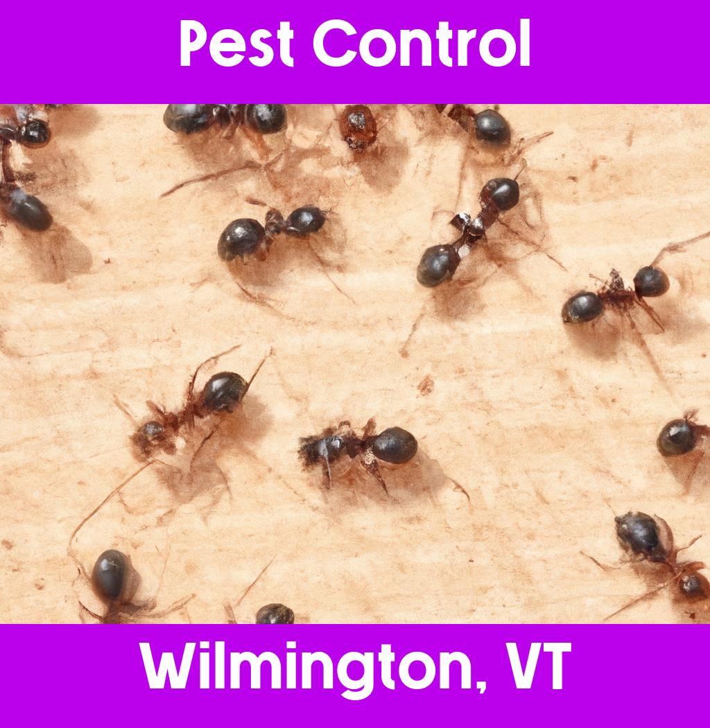 pest control in Wilmington Vermont