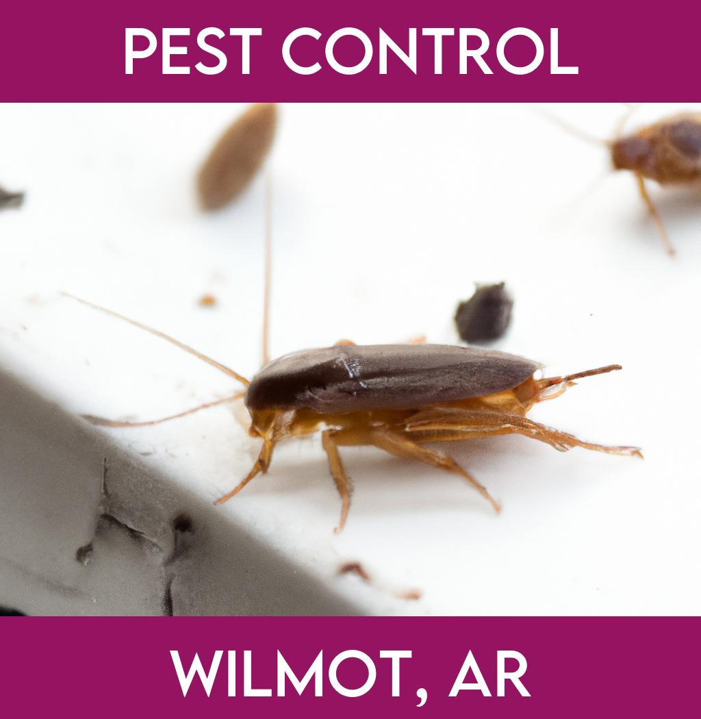 pest control in Wilmot Arkansas