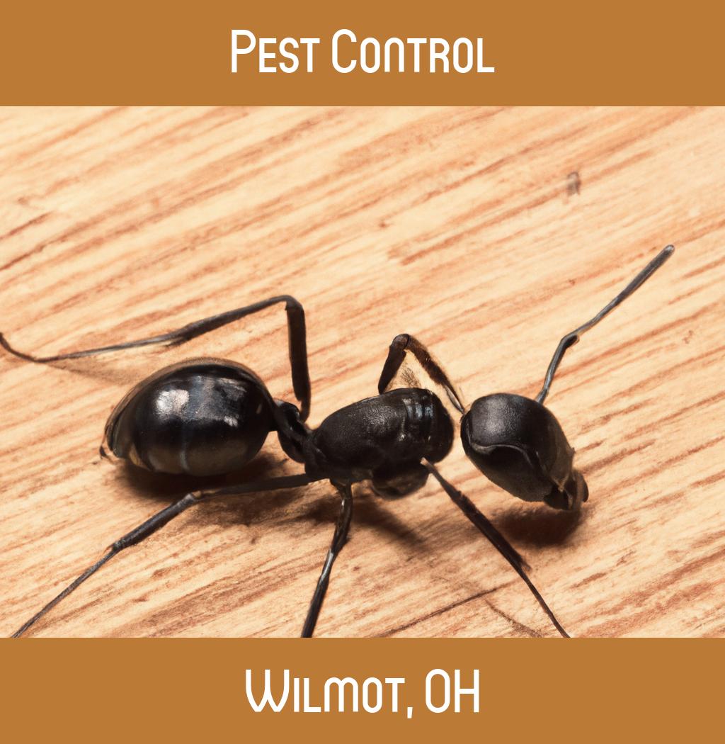 pest control in Wilmot Ohio