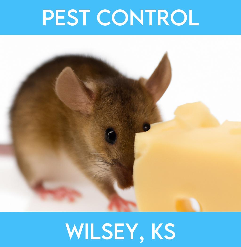 pest control in Wilsey Kansas