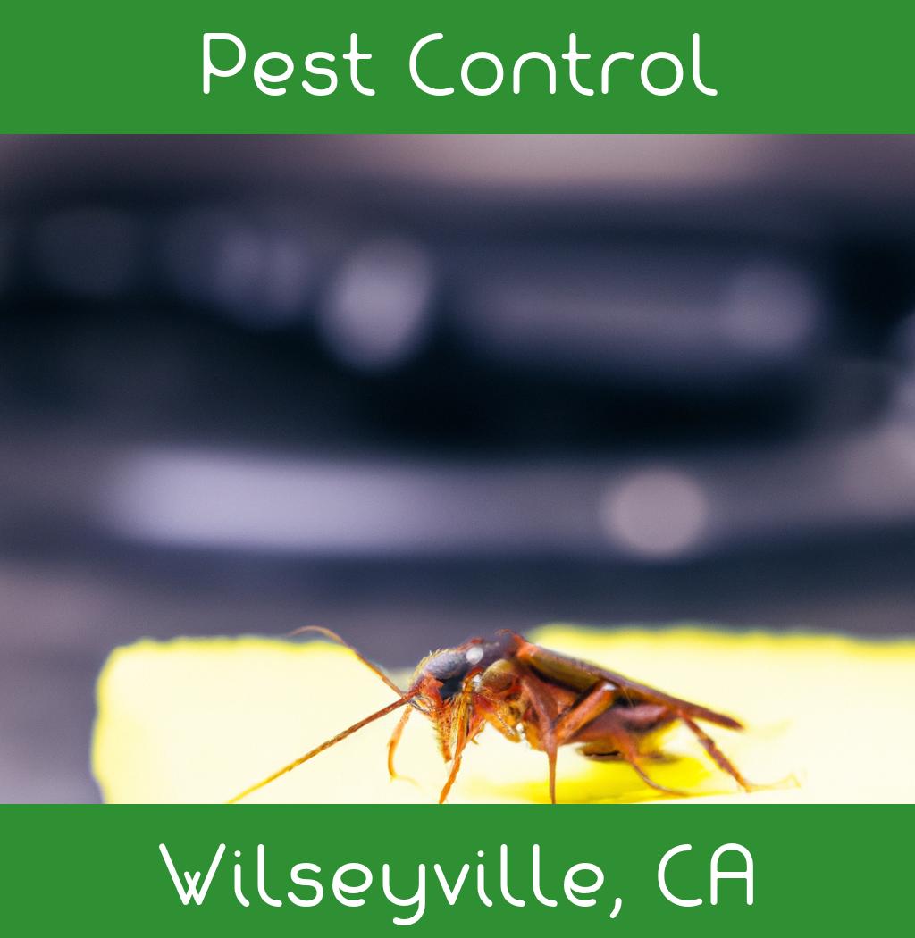 pest control in Wilseyville California