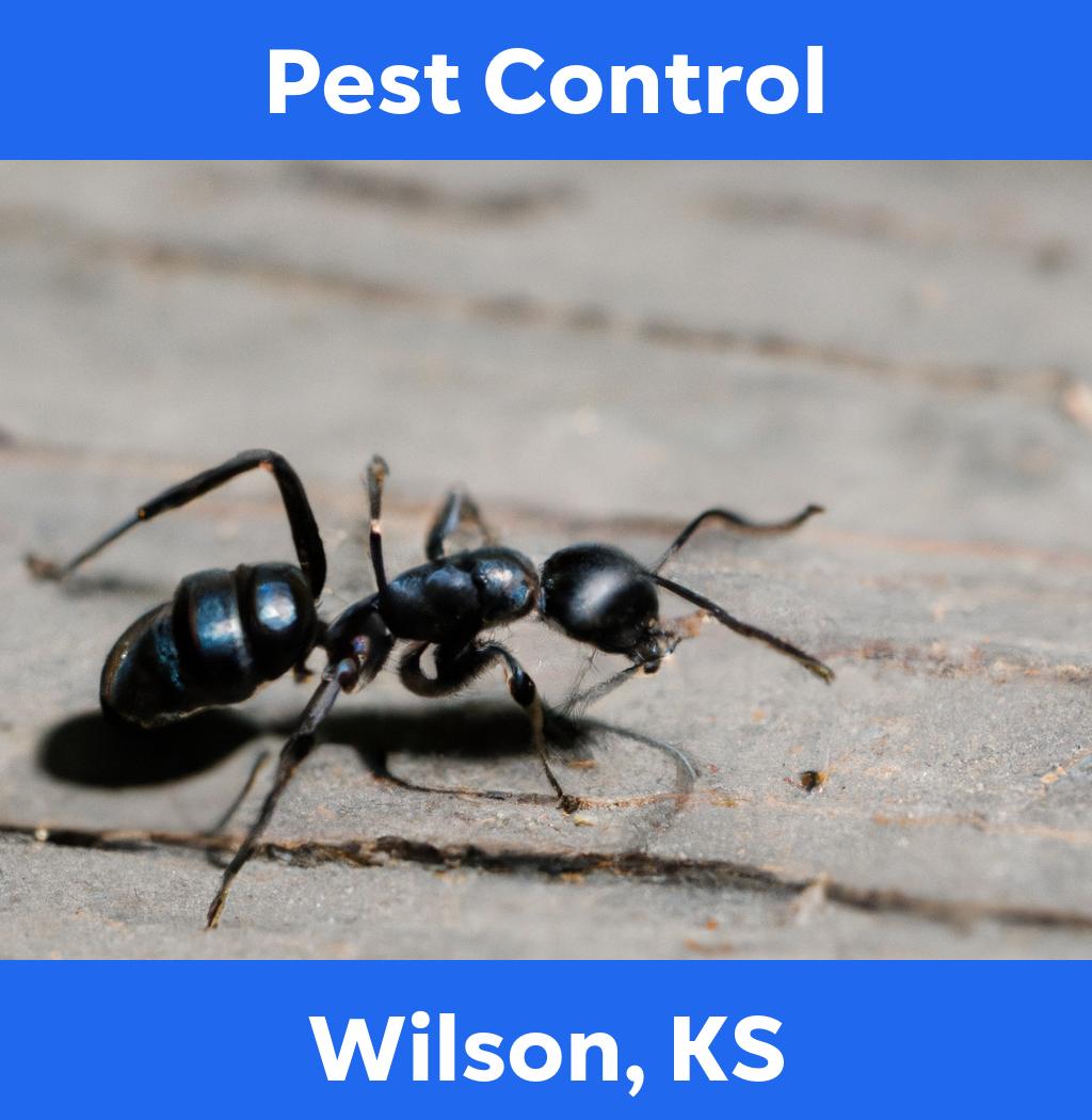 pest control in Wilson Kansas