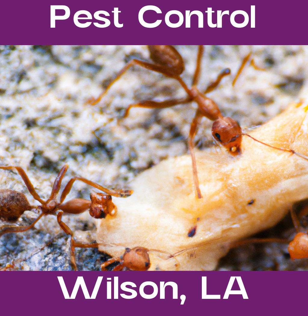 pest control in Wilson Louisiana