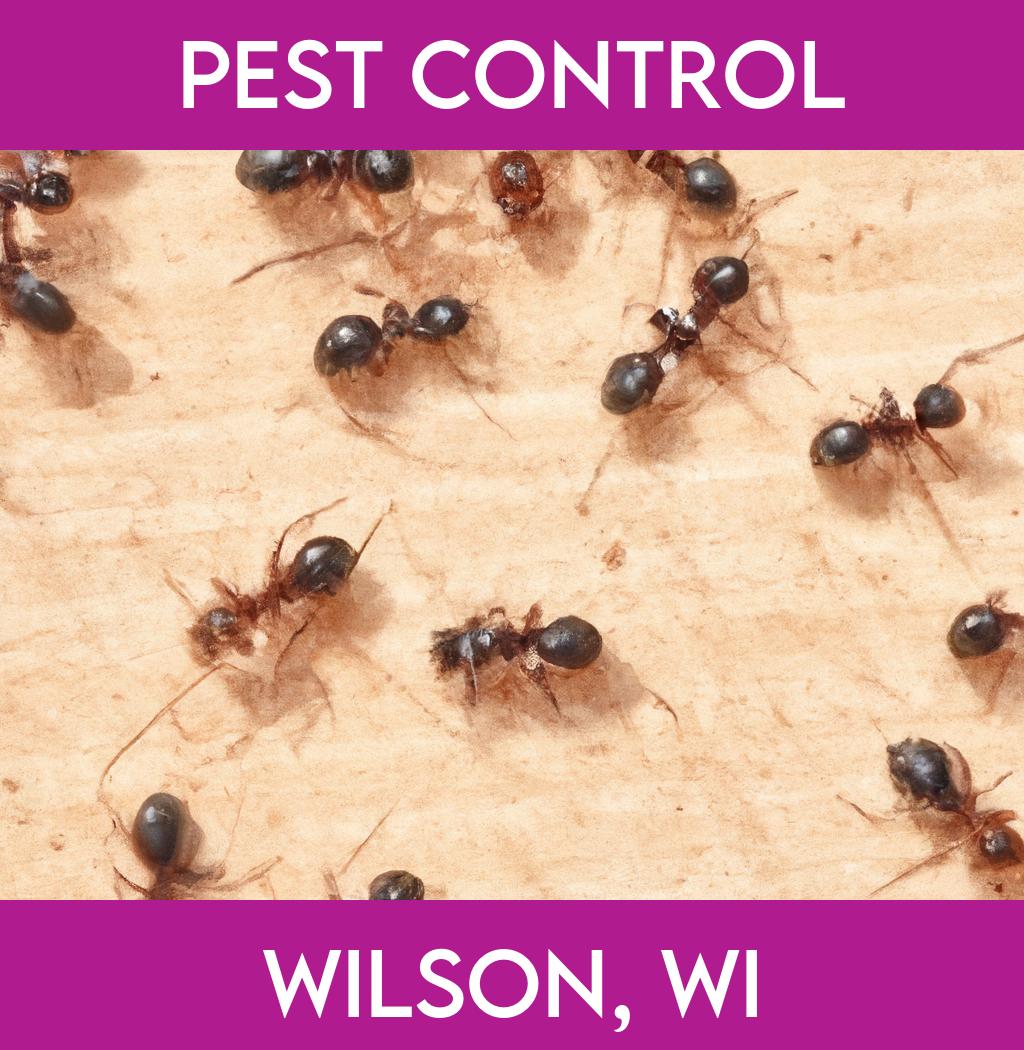 pest control in Wilson Wisconsin
