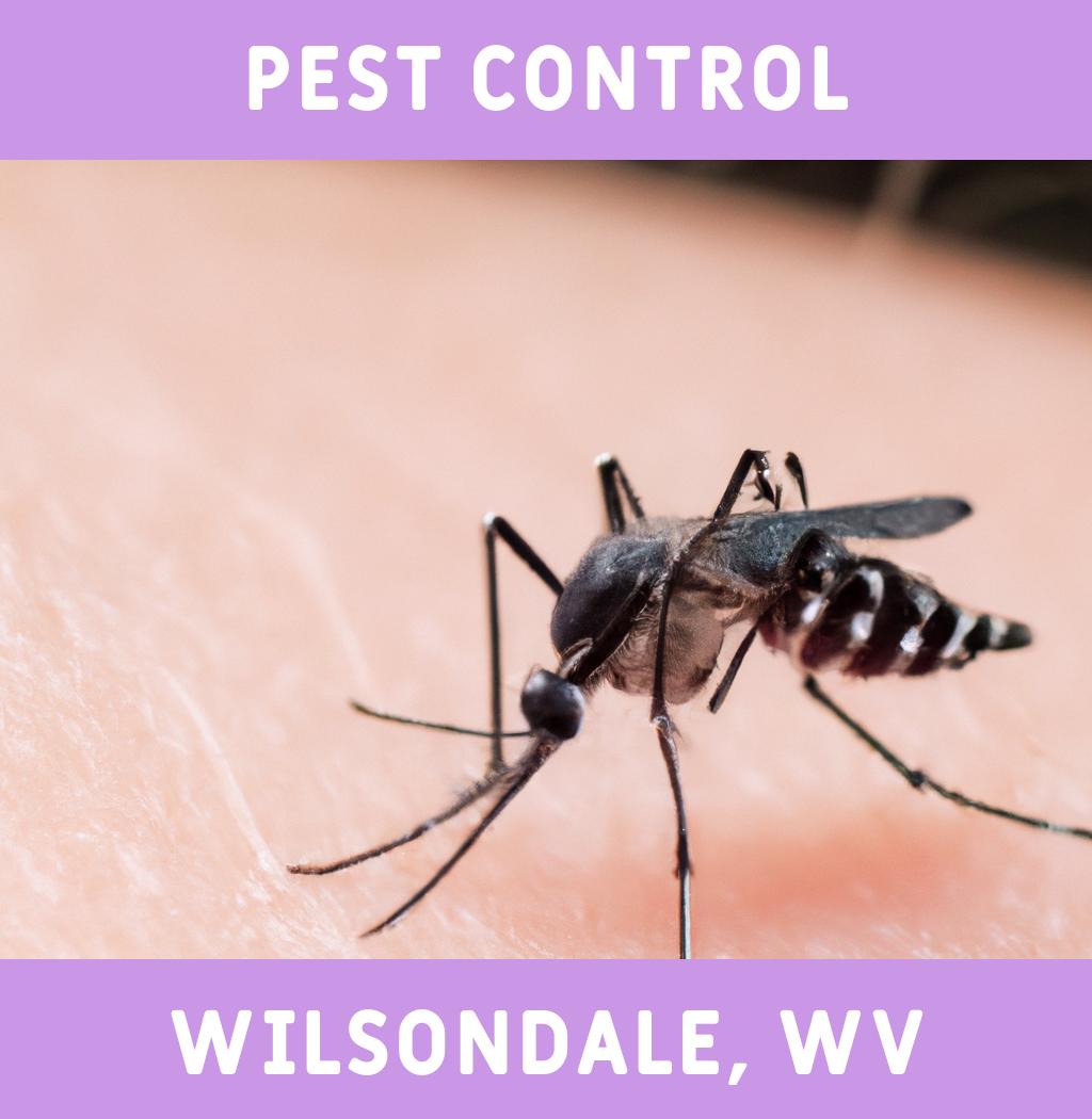pest control in Wilsondale West Virginia