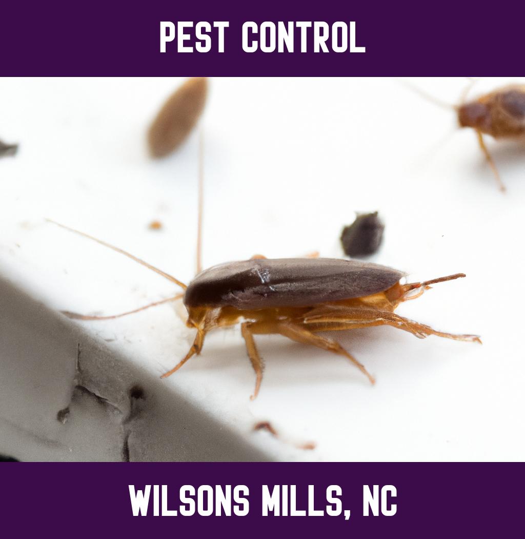 pest control in Wilsons Mills North Carolina
