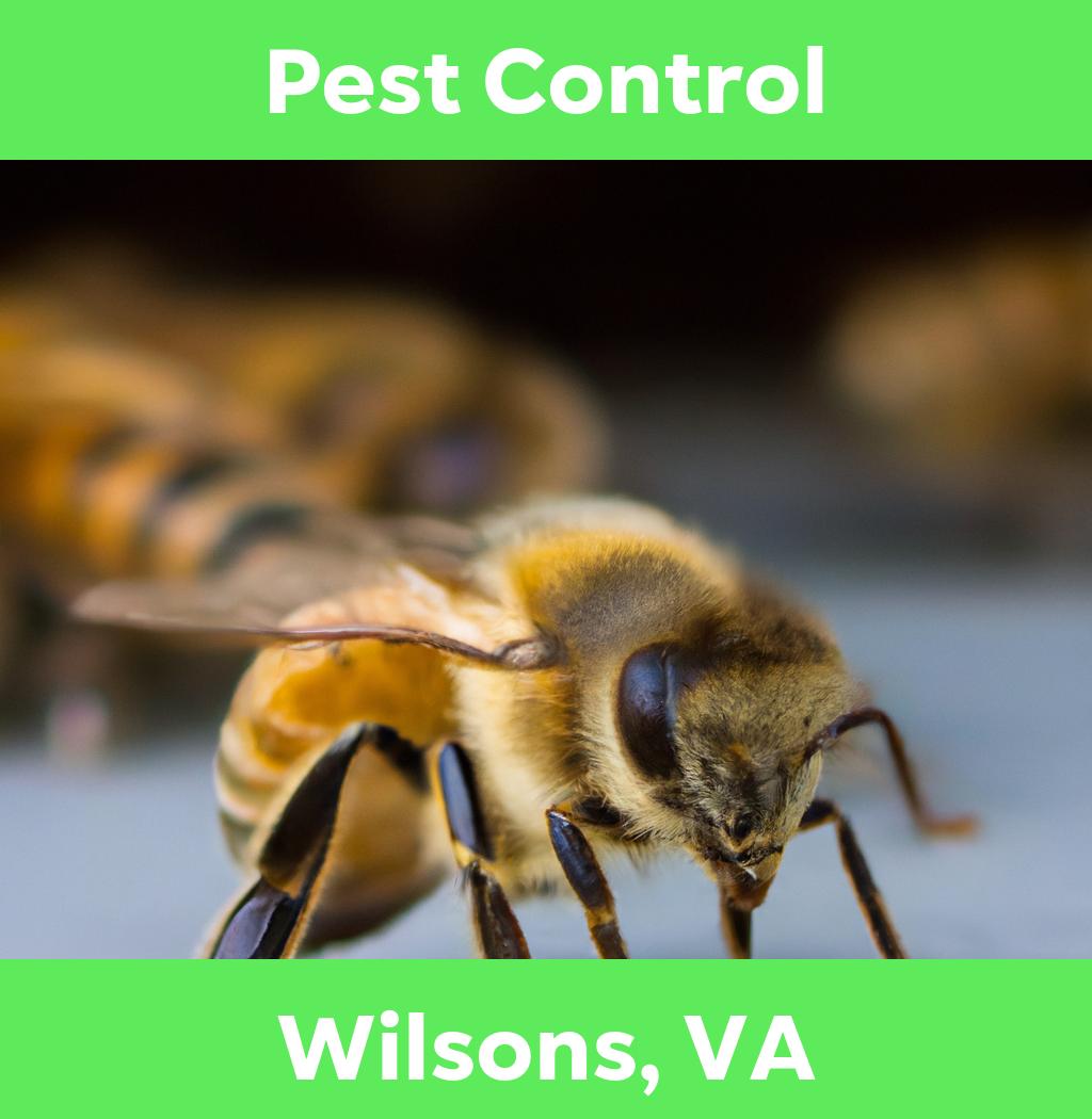 pest control in Wilsons Virginia