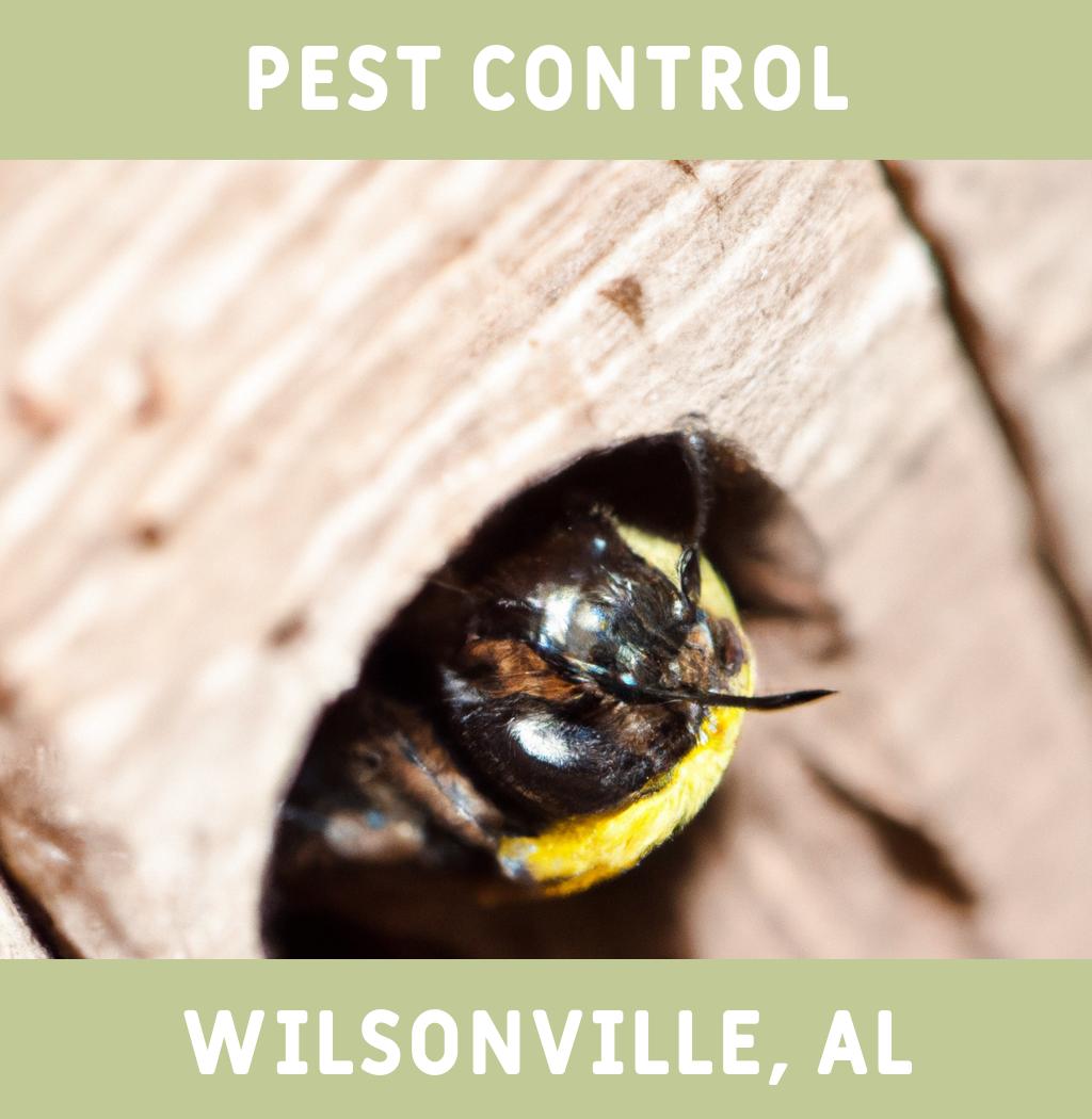 pest control in Wilsonville Alabama