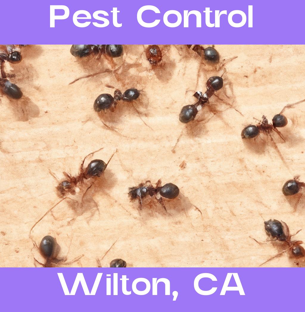 pest control in Wilton California