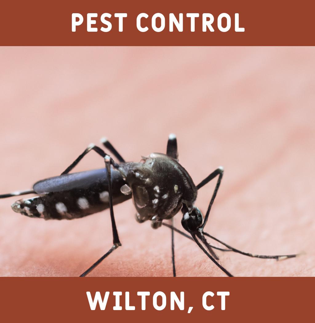 pest control in Wilton Connecticut