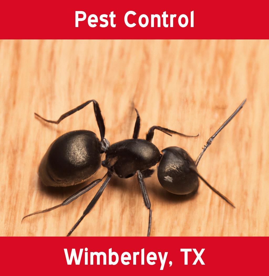 pest control in Wimberley Texas
