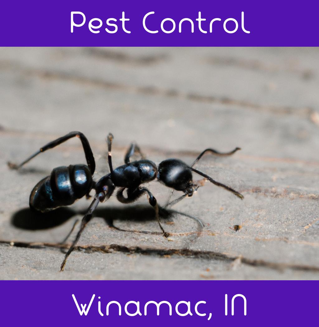 pest control in Winamac Indiana
