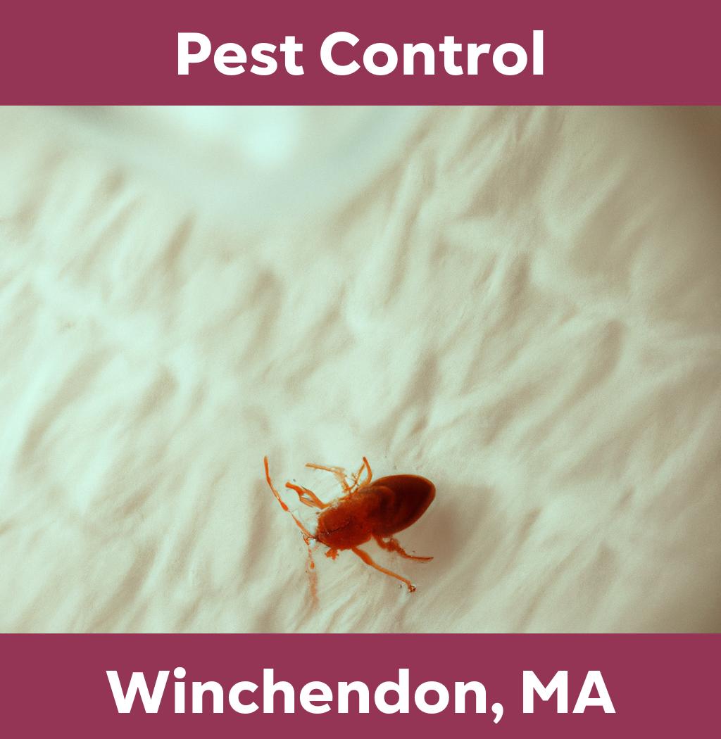 pest control in Winchendon Massachusetts