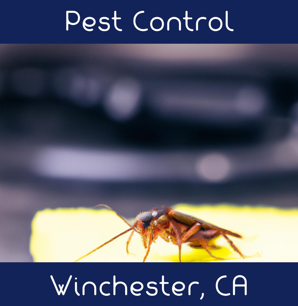 pest control in Winchester California