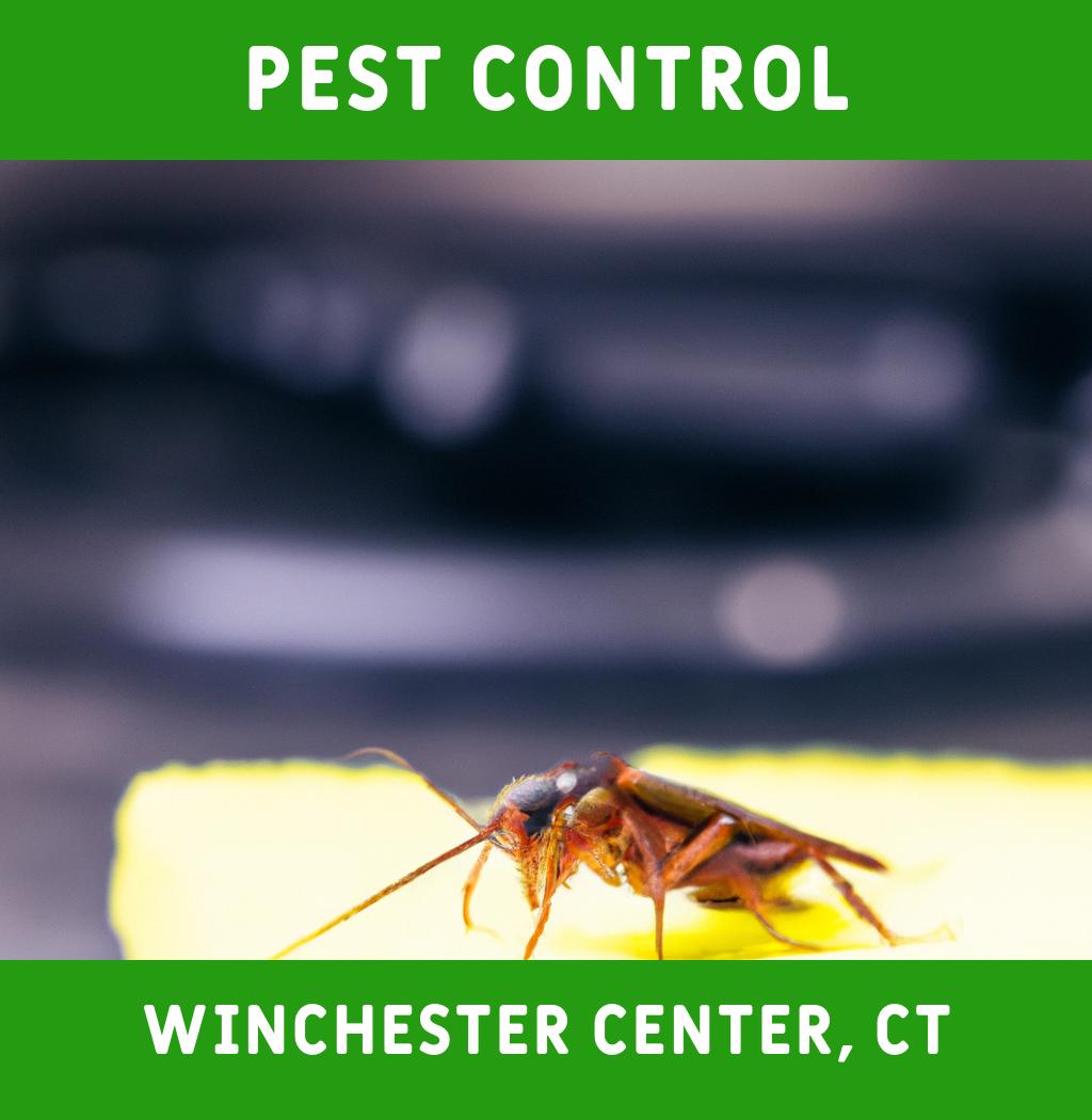 pest control in Winchester Center Connecticut