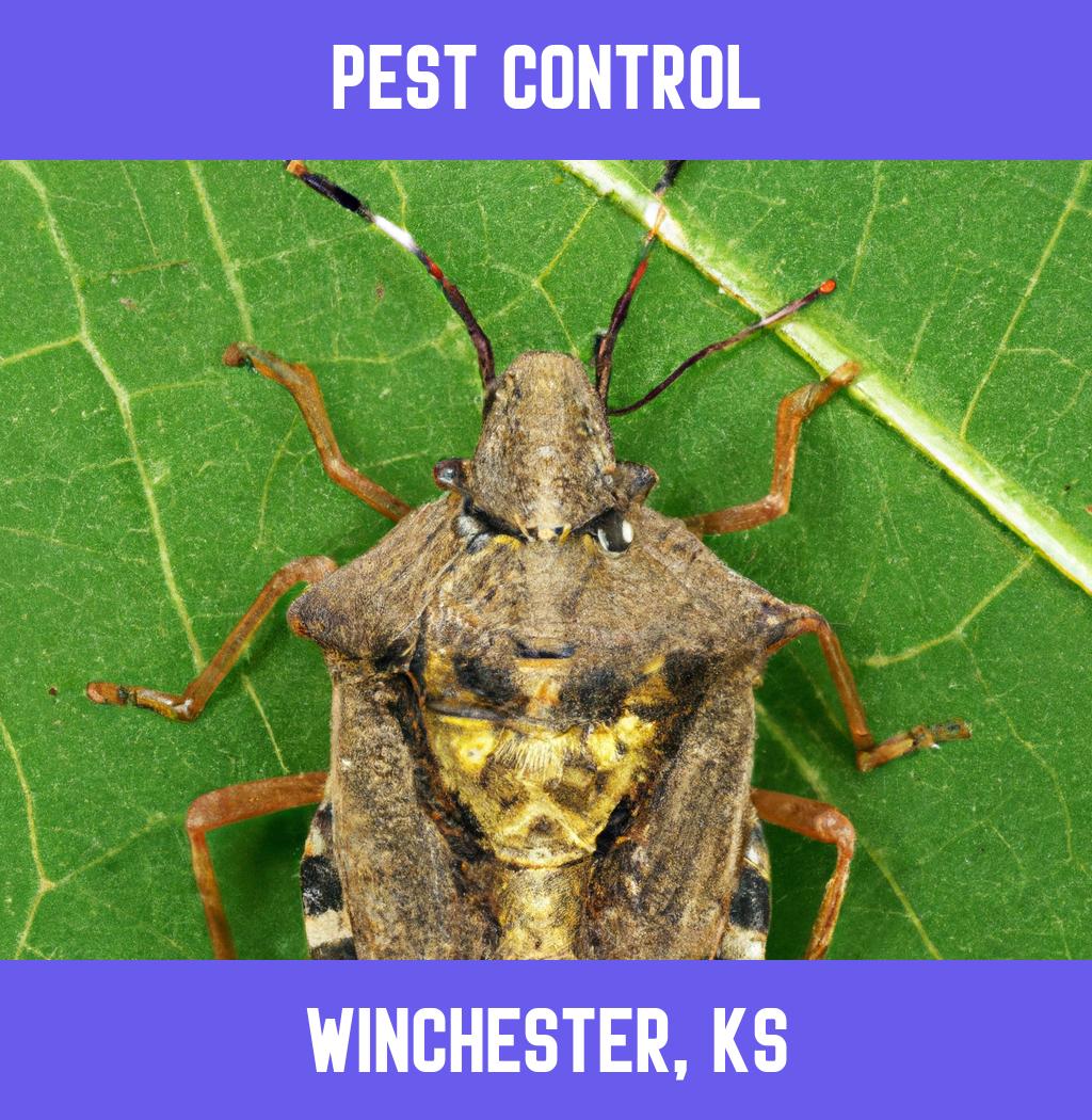 pest control in Winchester Kansas