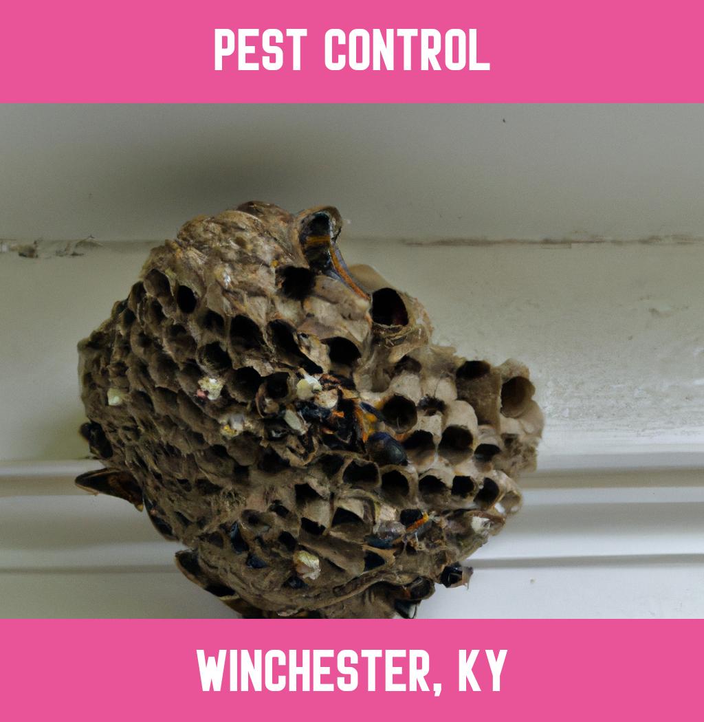 pest control in Winchester Kentucky