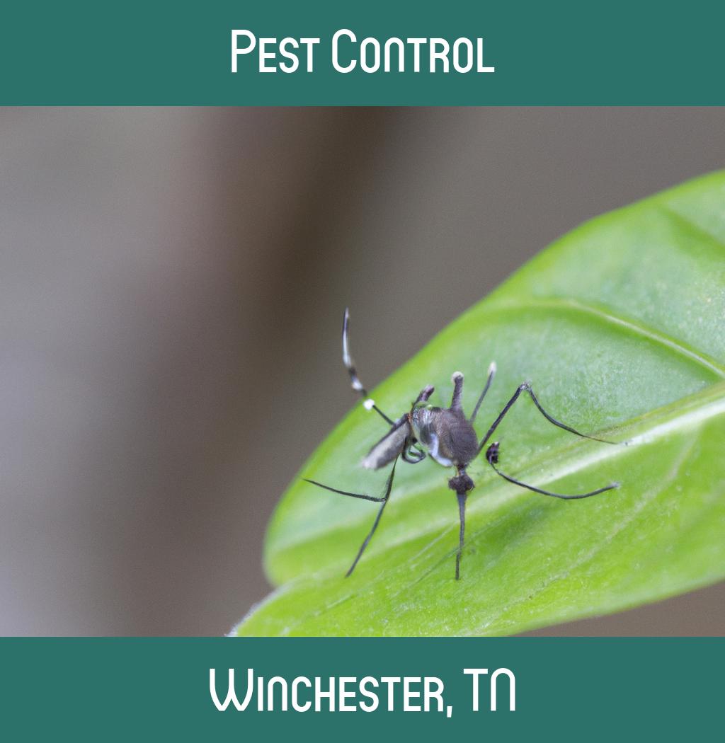 pest control in Winchester Tennessee