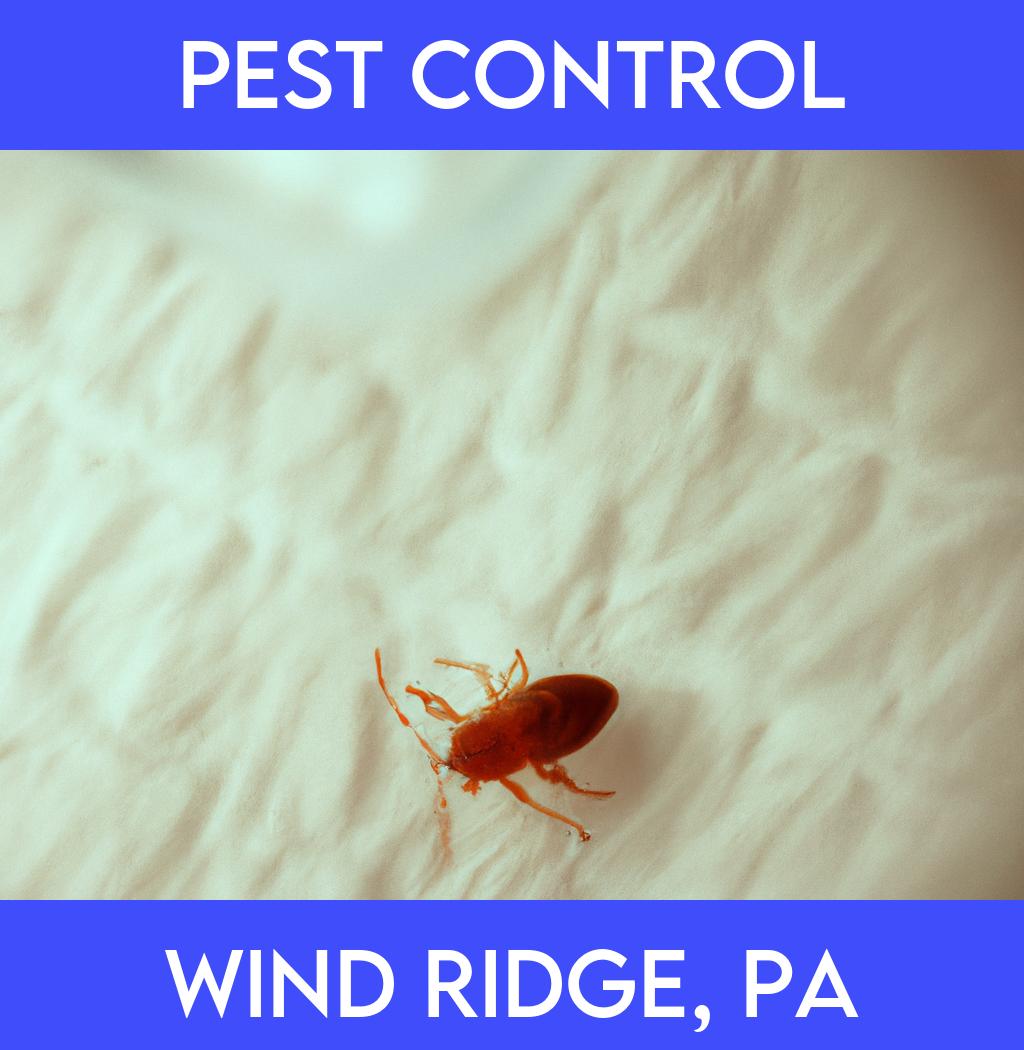 pest control in Wind Ridge Pennsylvania