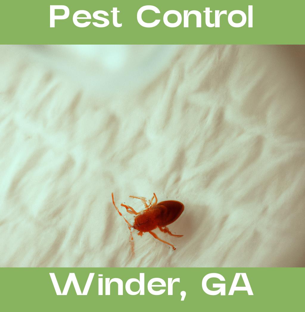 pest control in Winder Georgia