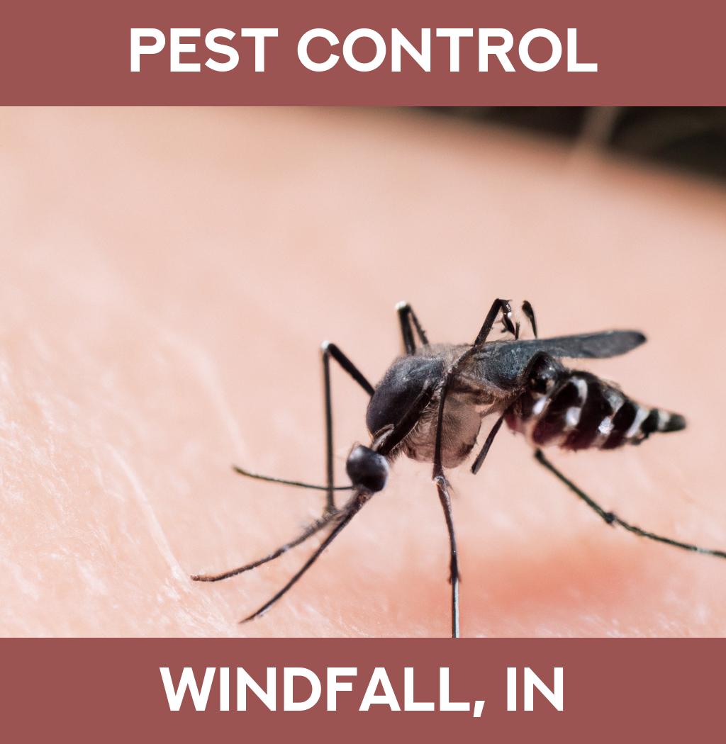 pest control in Windfall Indiana